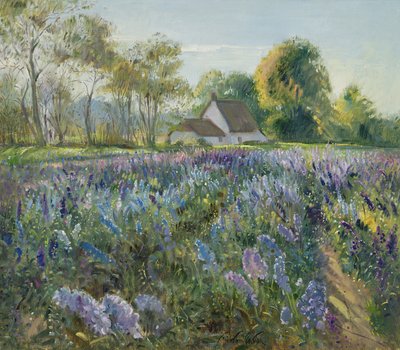 October Delphiniums by Timothy Easton